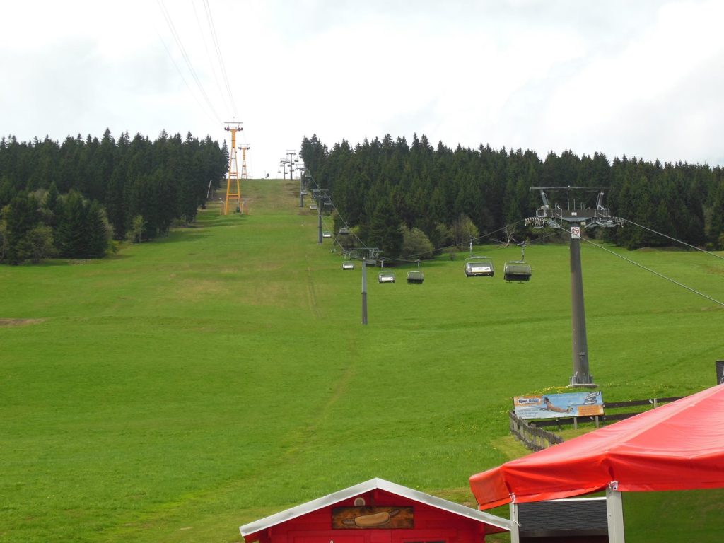 DSCN0444