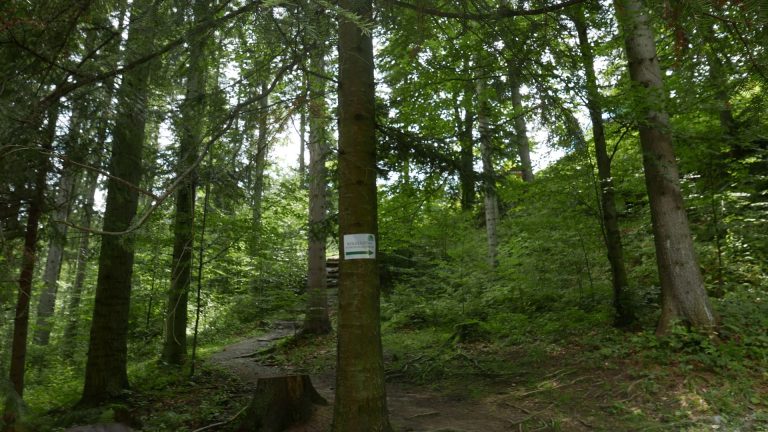 Pilsko