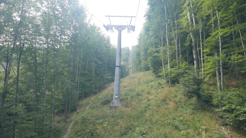 L1290341