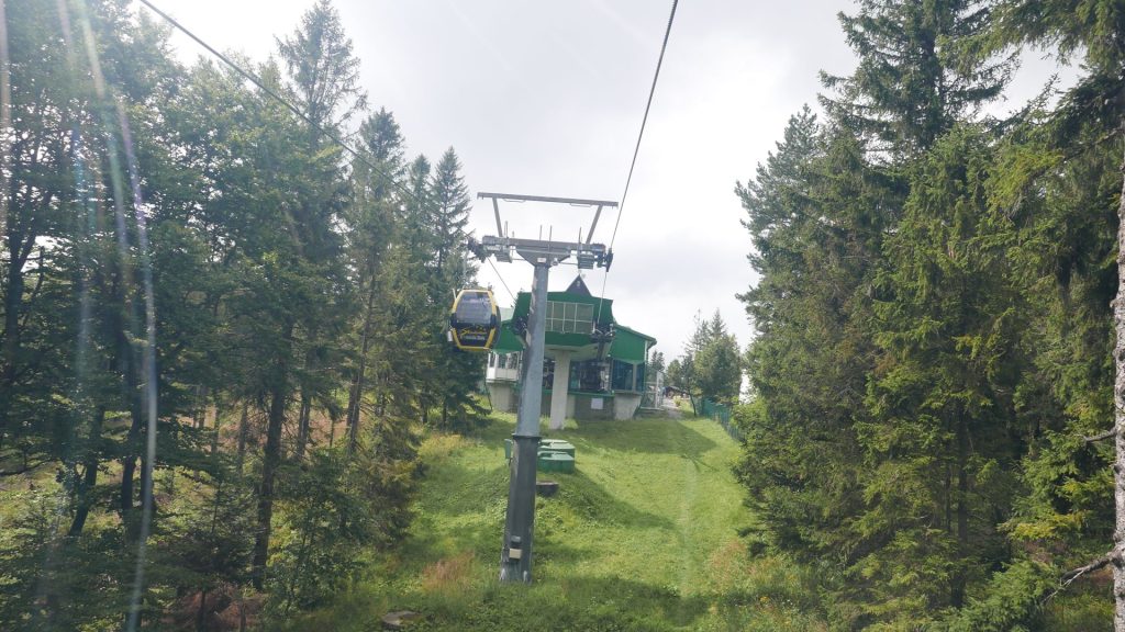 L1290353