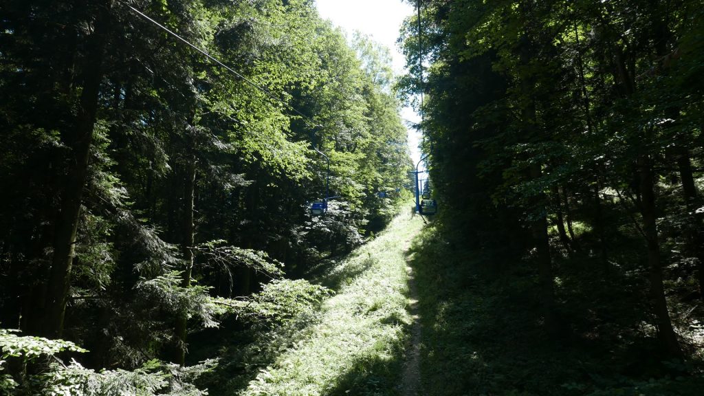 L1290454