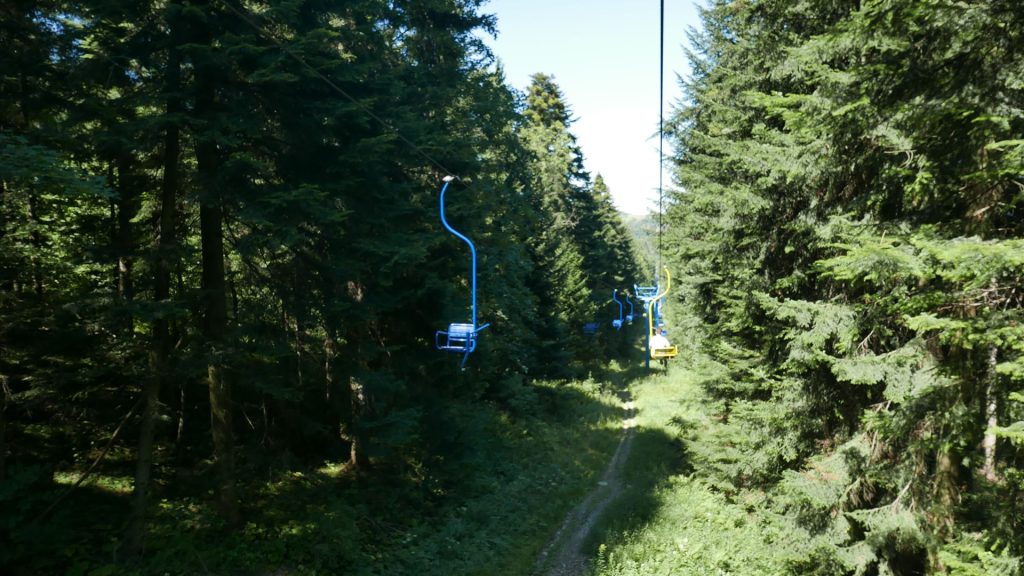 L1290579