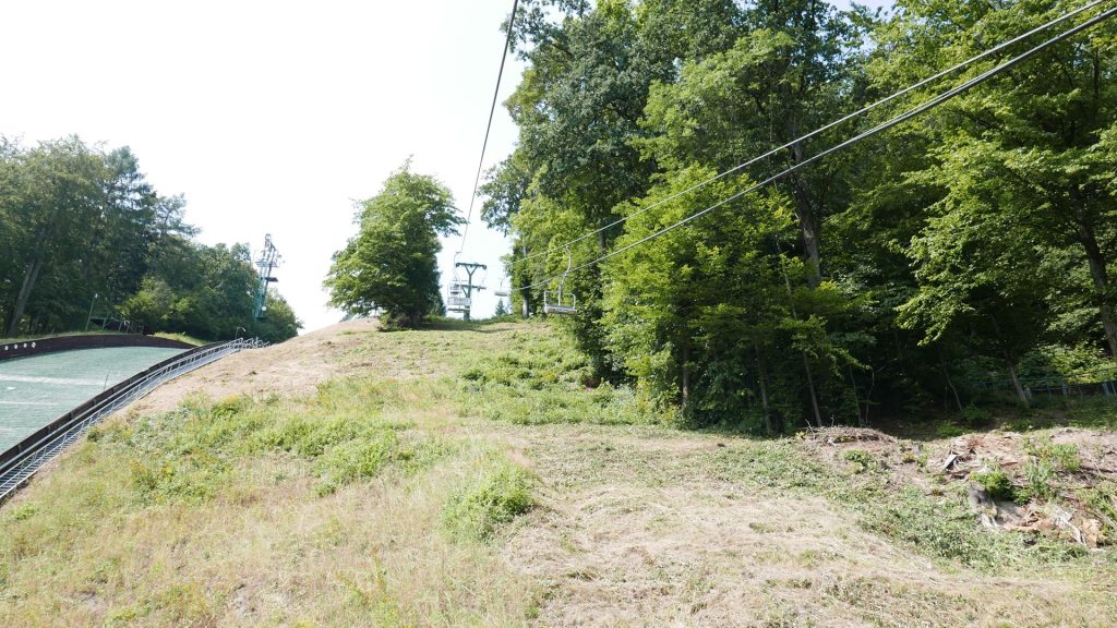 L1300046