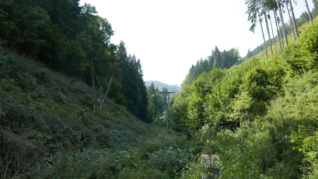 L1300983