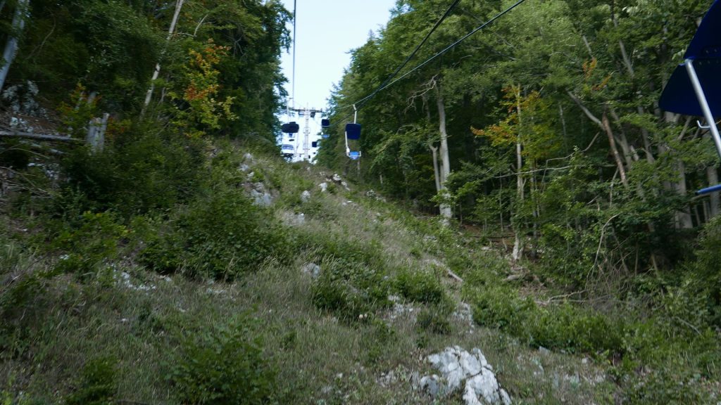 L1370472