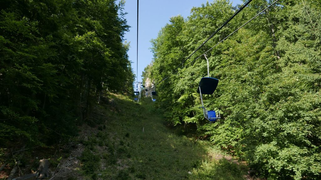 L1370495