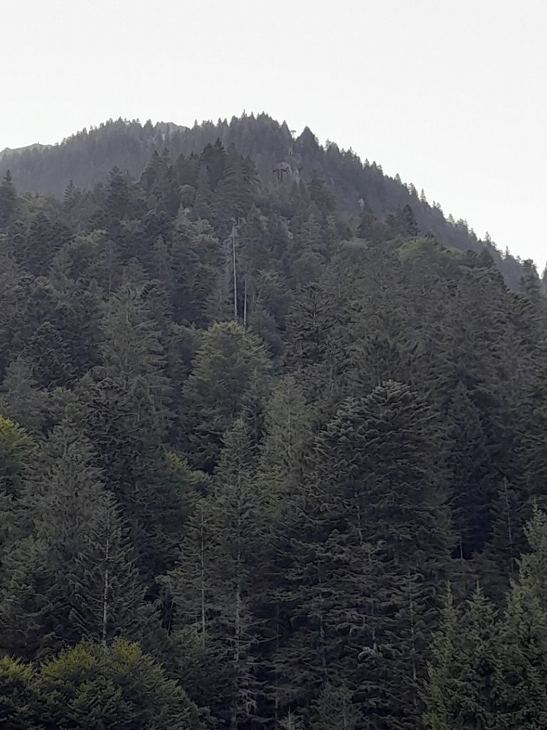 20230822_193238