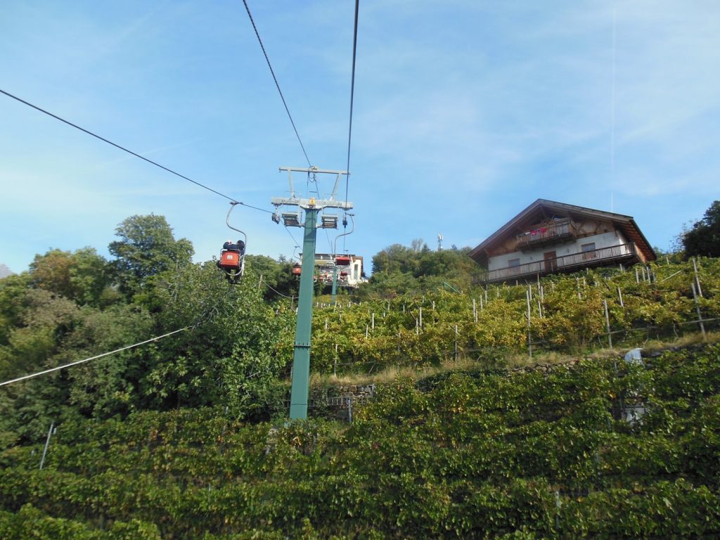 DSCN1091