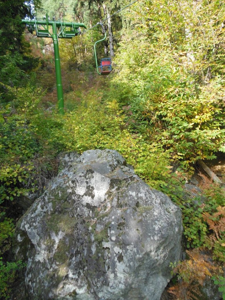 DSCN1153