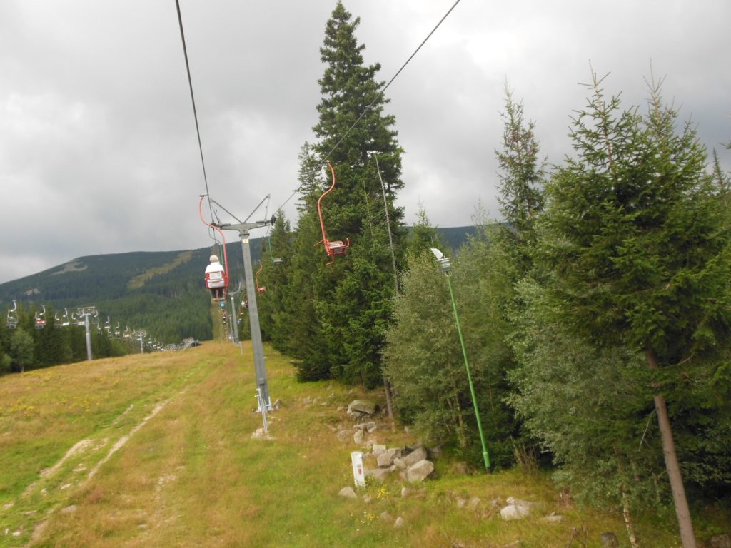 DSCN1981
