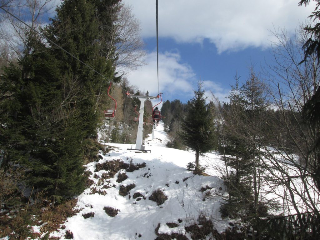 IMG_0007 (2)