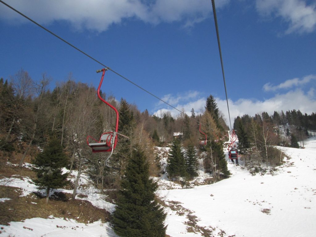 IMG_0011 (2)