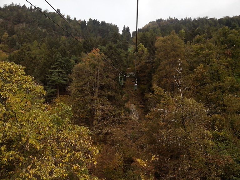 Leiteralm