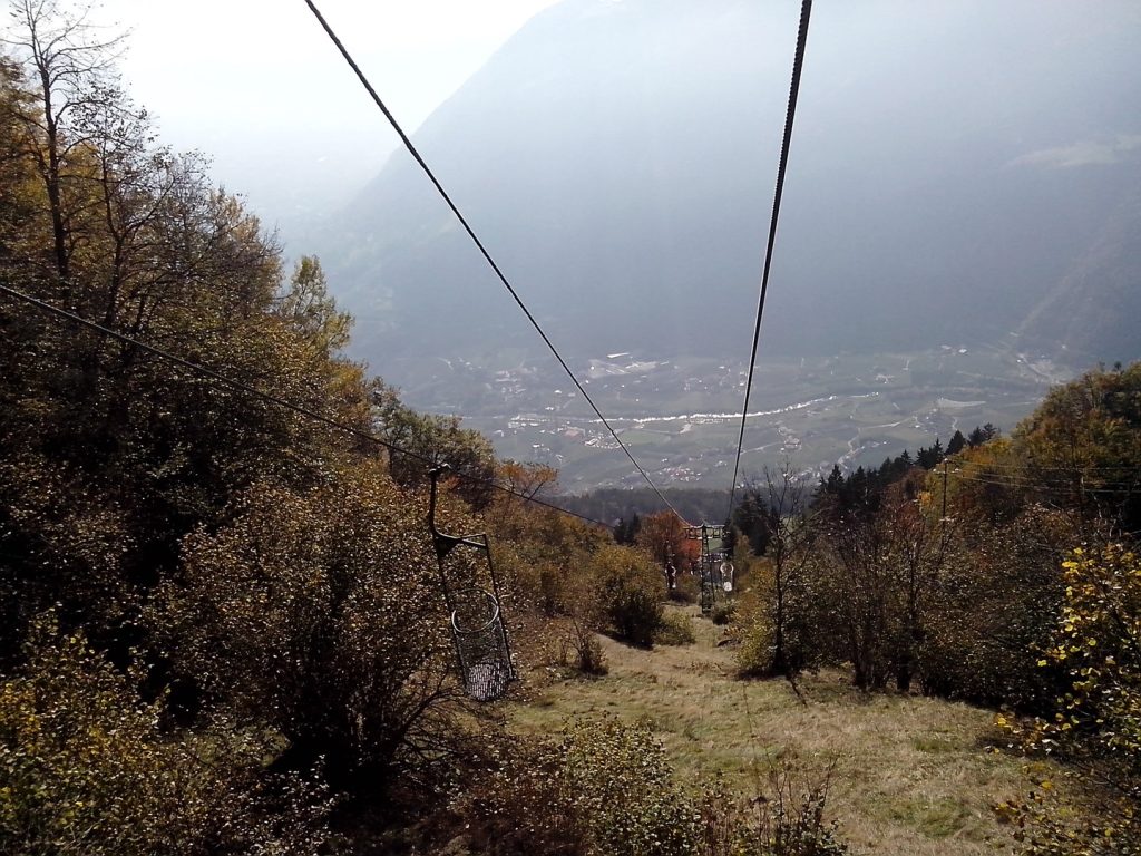 IMG_20141028_113311