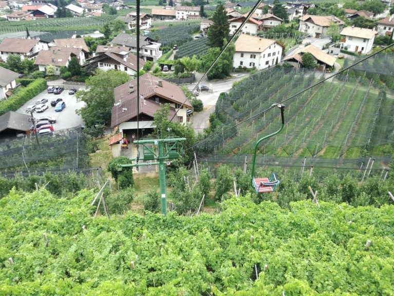 Vellau