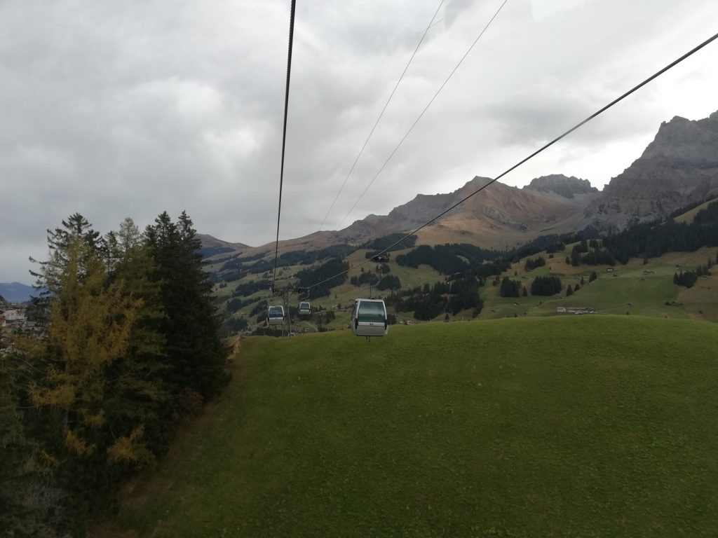 IMG_20211030_121851