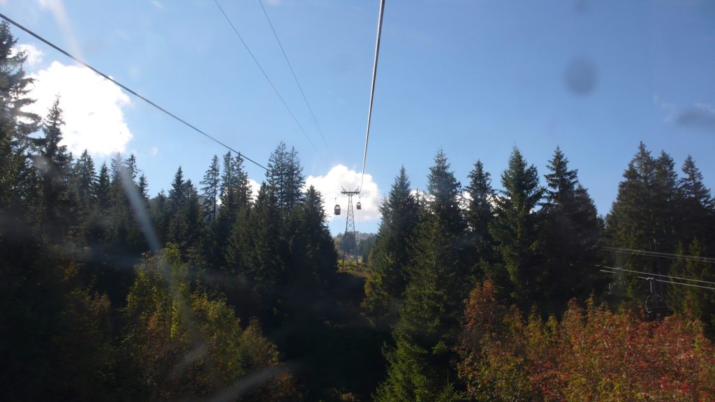 L1130379