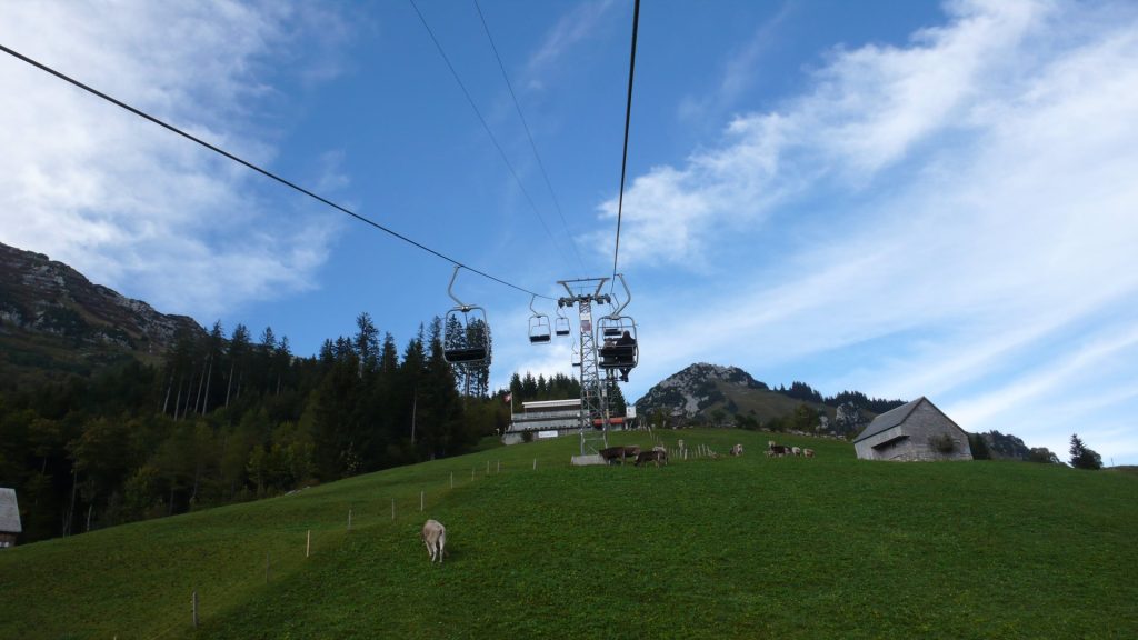 L1130591