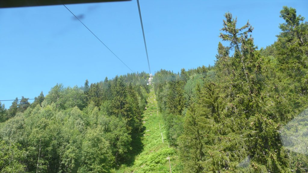 L1180436