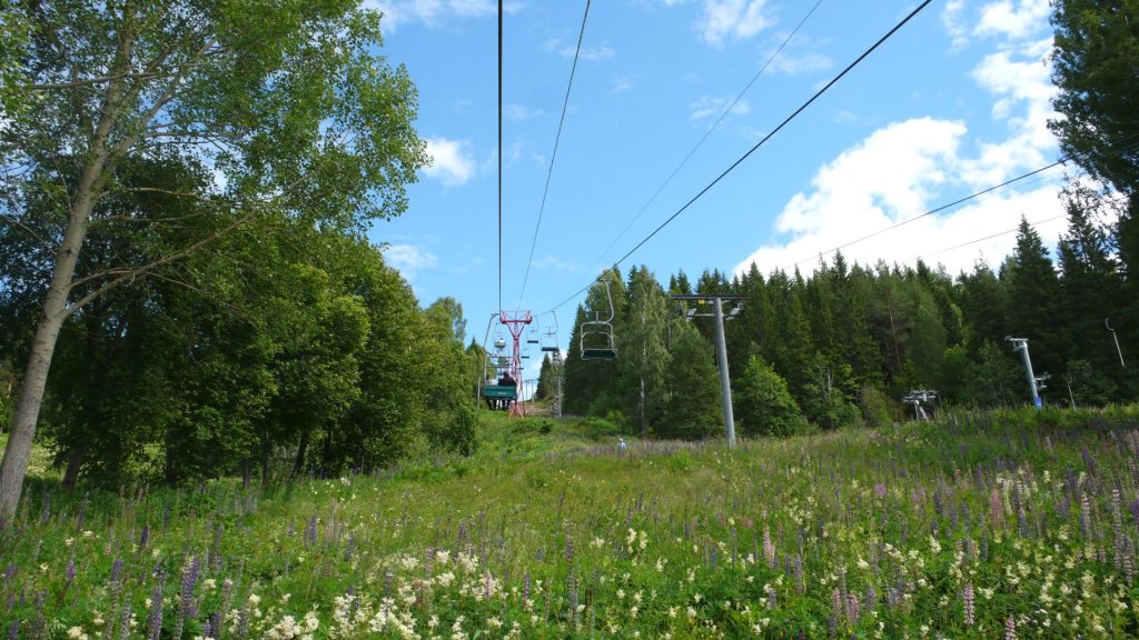 L1180851