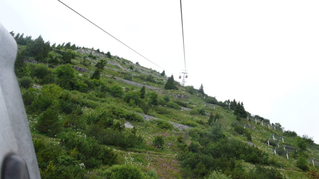 L1190035