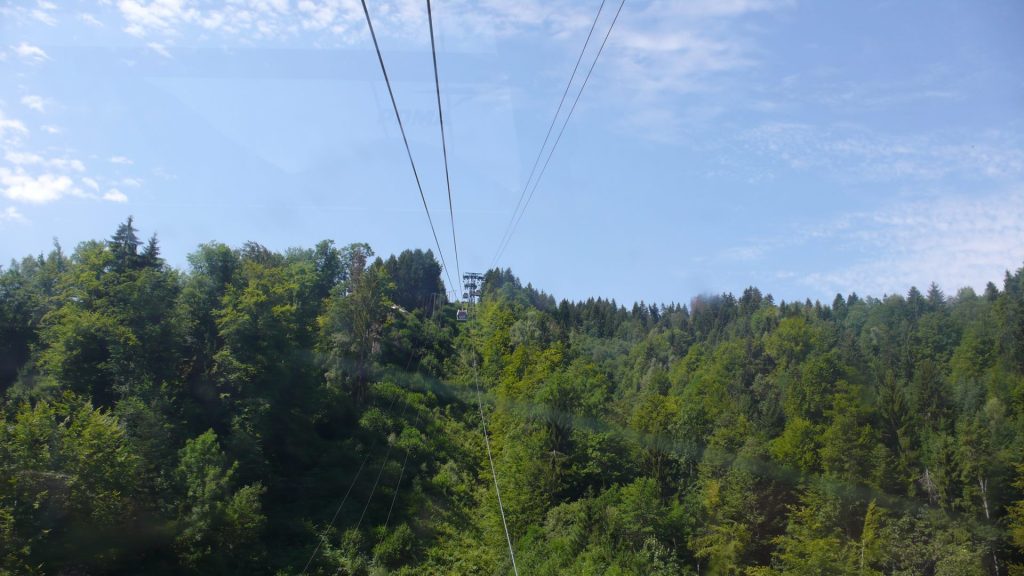 L1200208