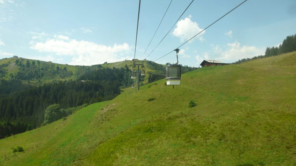 L1200238