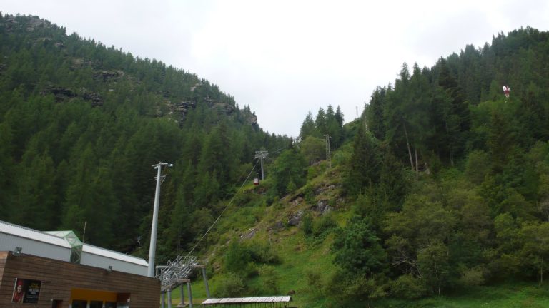 Chardonney – Laris