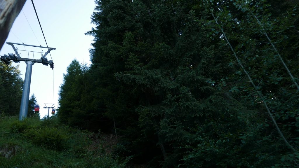 L1330813