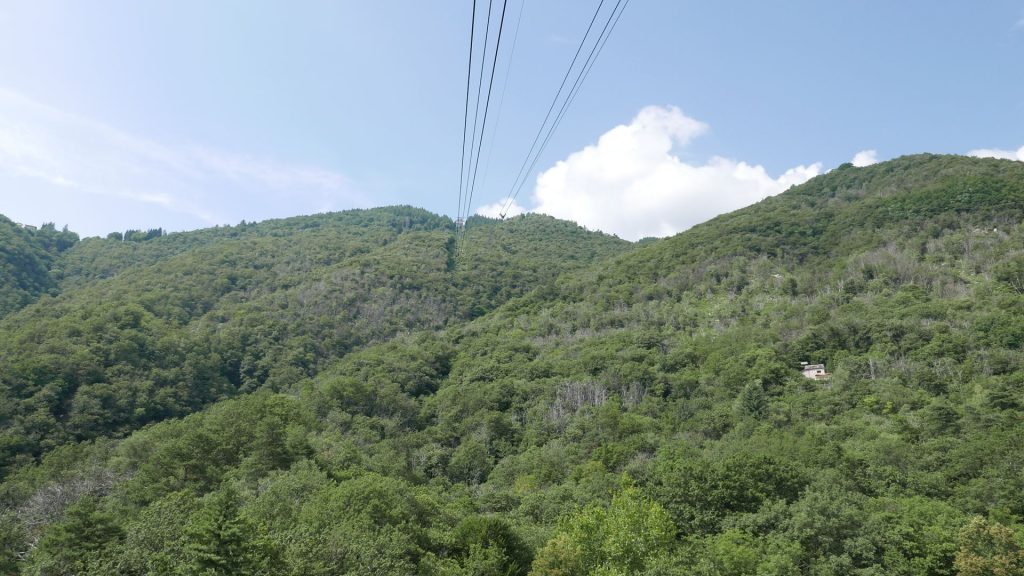 L1340566
