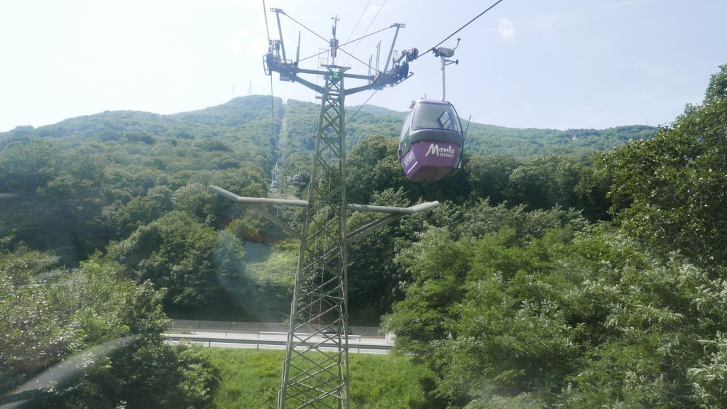 L1350455