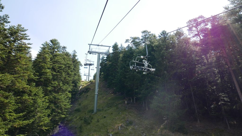 L1370307
