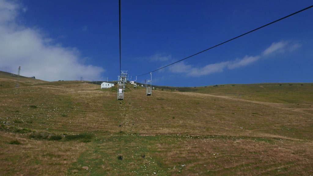 L1370788