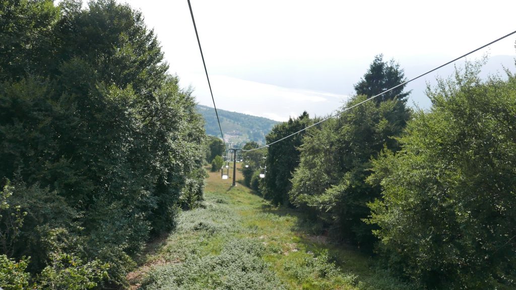 L1370865