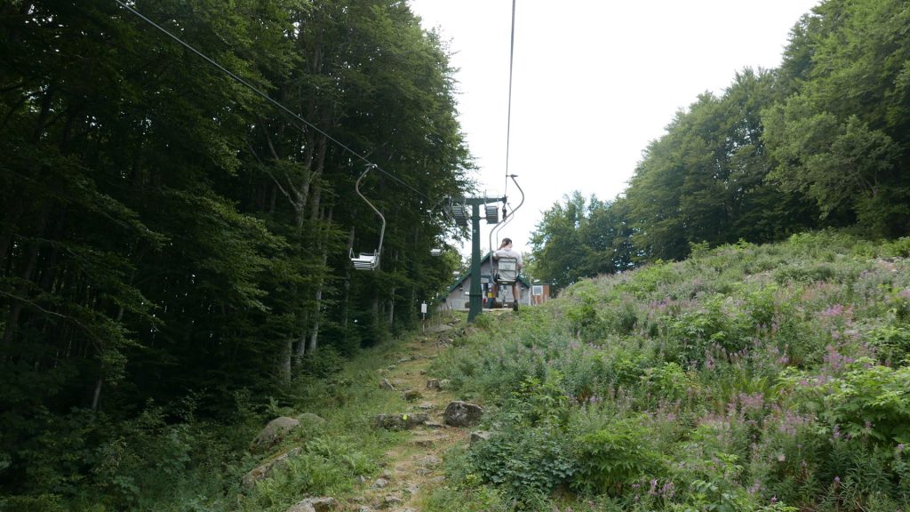 L1370929