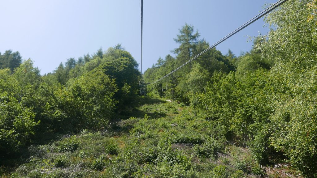 L1380382