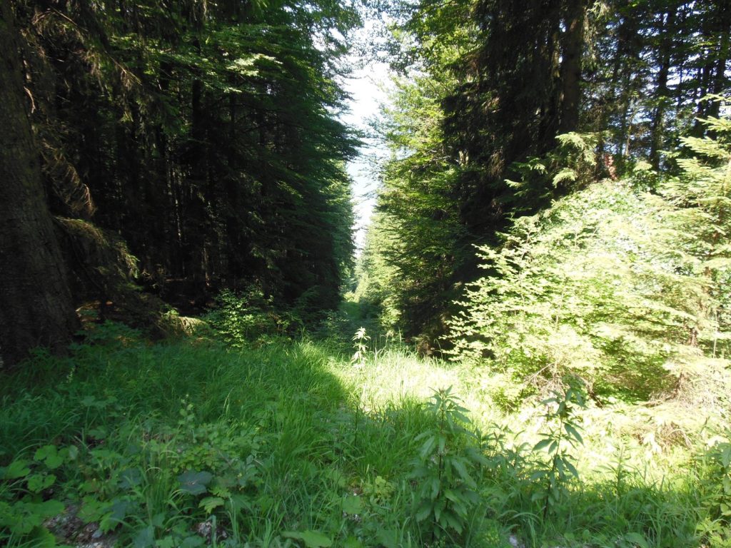 DSCN0862