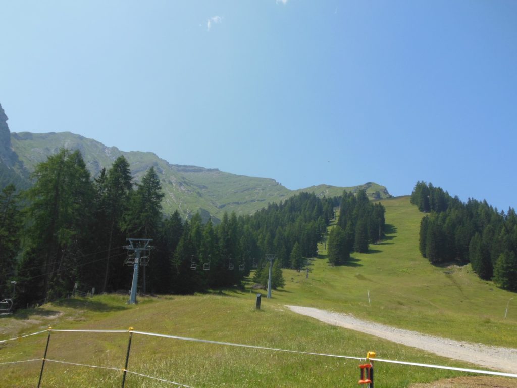 DSCN3374