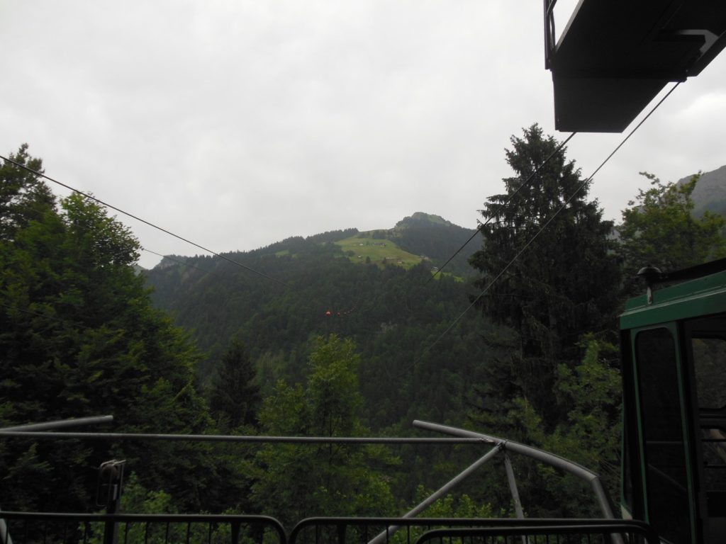 DSCN3486