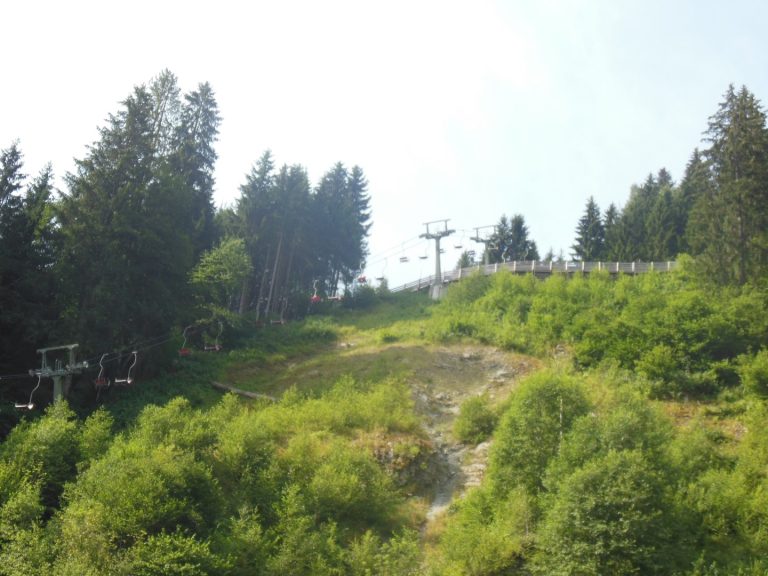 Garfrescha