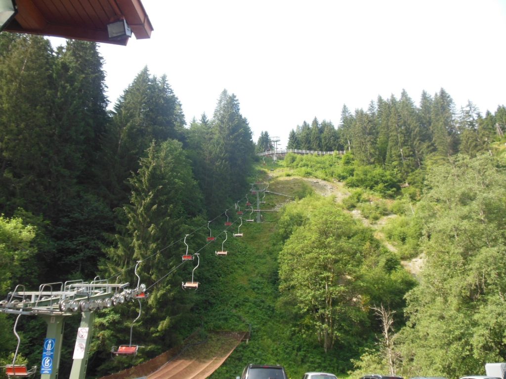 DSCN3493