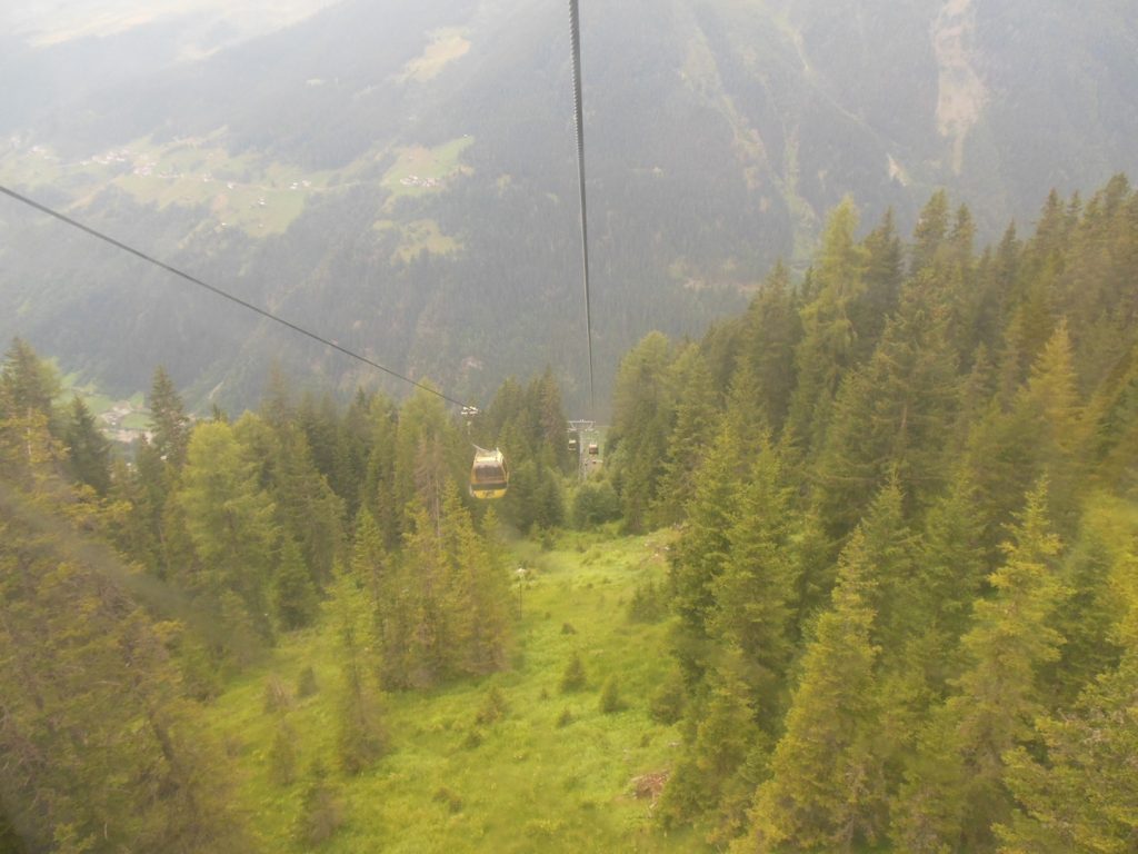 DSCN3681