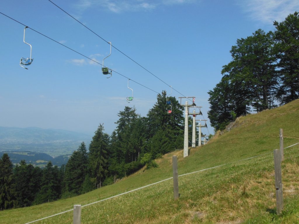 DSCN3803