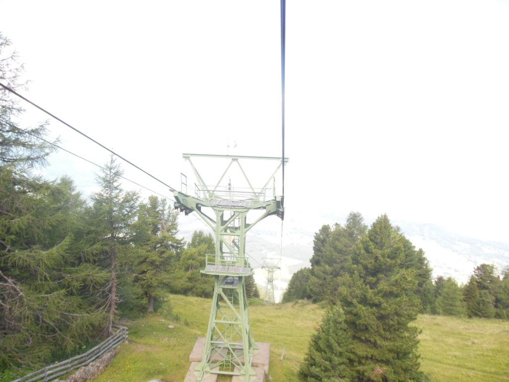 DSCN3890