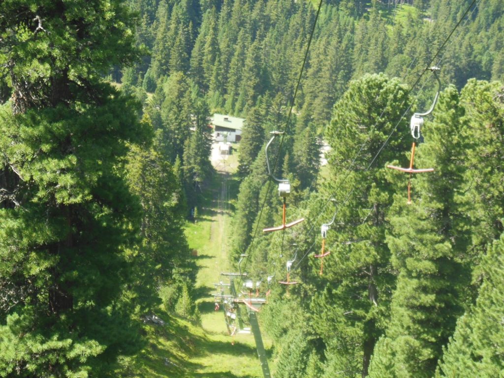 DSCN3910
