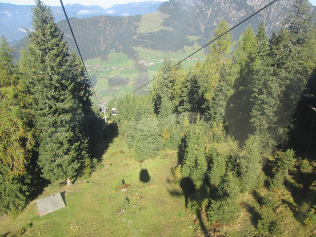 IMG_0013