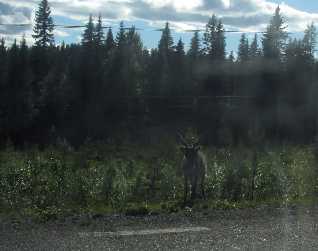 Skandinavien