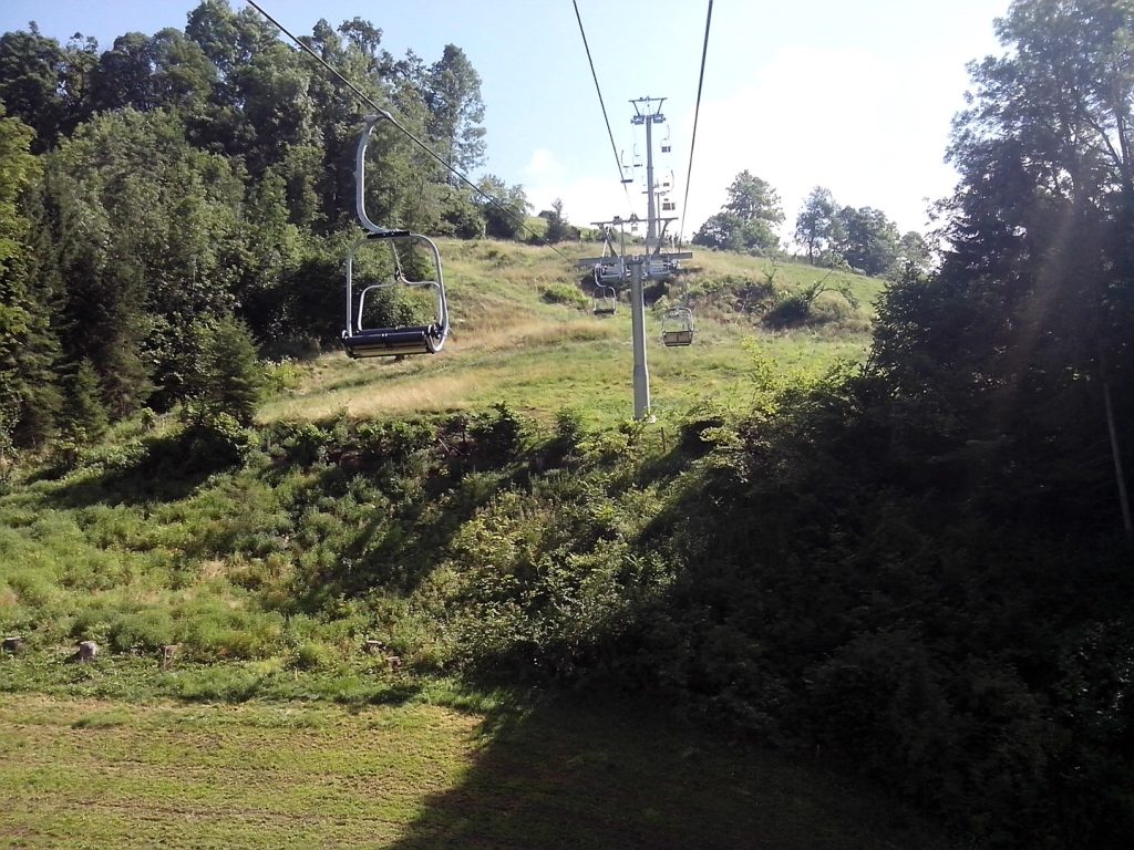 IMG_20150720_104602