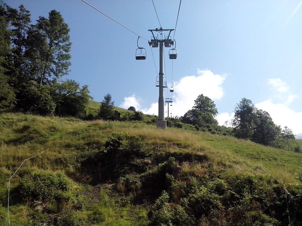 IMG_20150720_104659