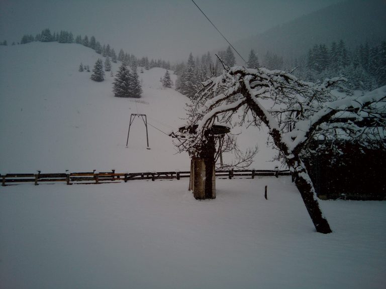 Luggi-Leitner-Lift